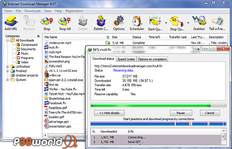 Internet Download Manager