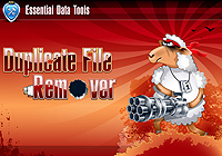 Download Duplicate File Remover