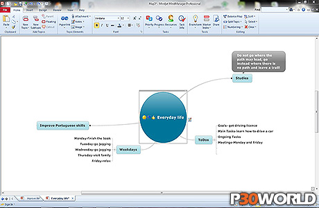 MindJet MindManager