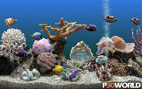 SereneScreen Marine Aquarium