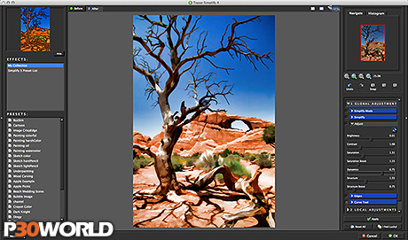 topaz simplify torrent topaz simplify torrent