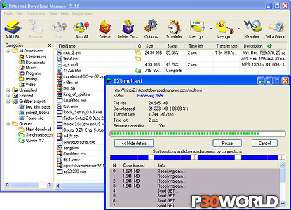 Internet Download Manager