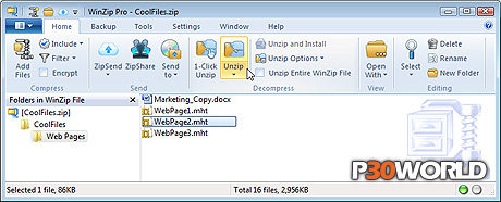 WinZip Pro v16.5 Final