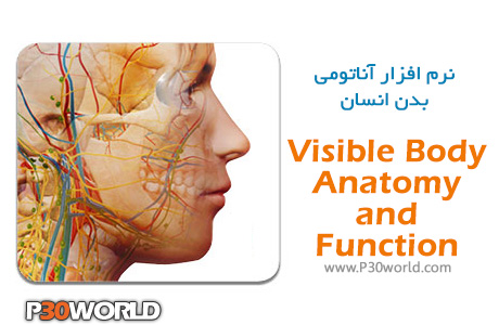 Visible-Body-Anatomy-and-Function