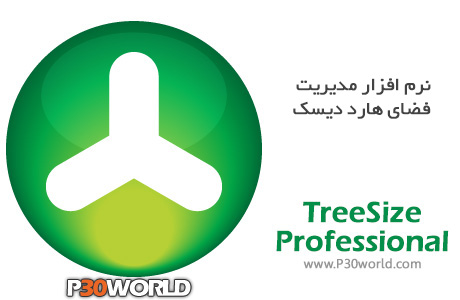 TreeSize-Professional
