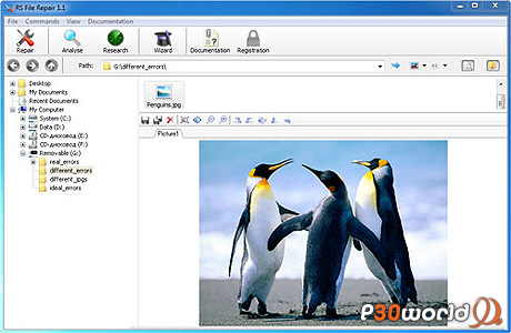 دانلود RS File Repair v1.1 – نرم افزار بازسازی عکس های آسیب دیده
