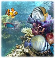 SimAquarium 2.7 یک آکواریوم مجازی زیبا