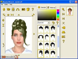 Beauty Wizard 3.3 نرم افزاری حرفه ای برای تست مدل های مختلف مو
