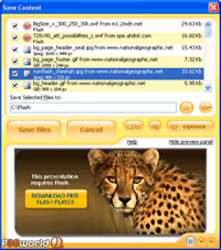 ذخیره سازی فایل های رسانه ای وب همانند فلش توسط MetaProducts Flash and Media Capture v1.9.143